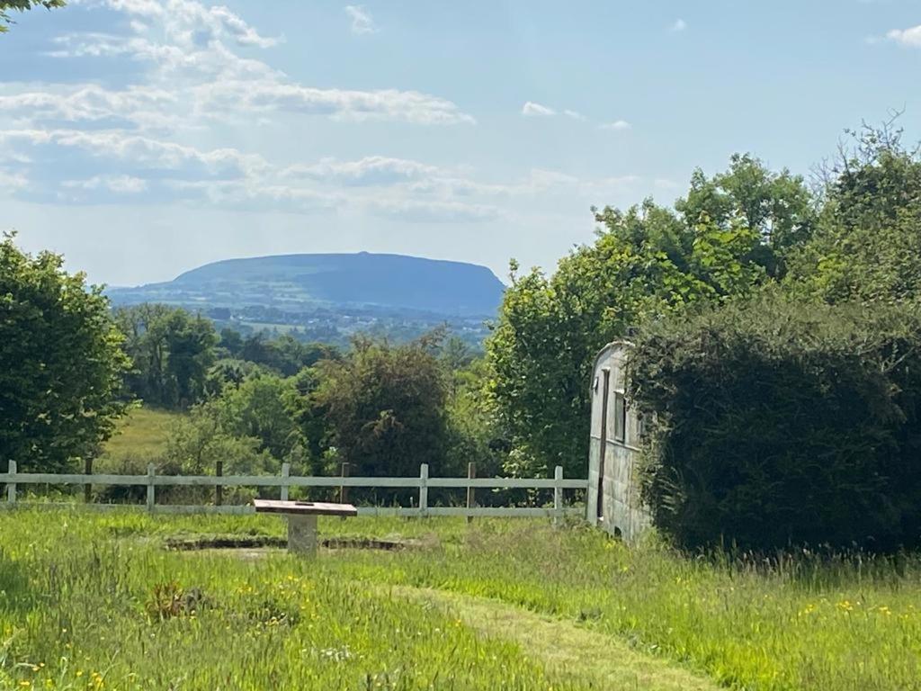 Clover Cottage Sligo Kültér fotó