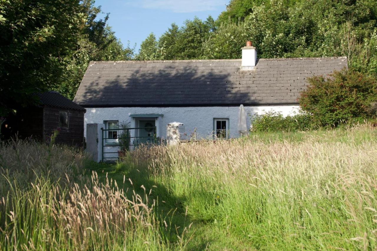 Clover Cottage Sligo Kültér fotó