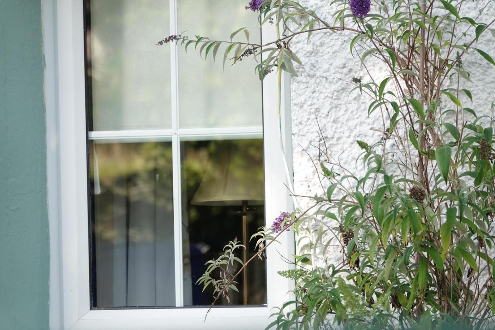 Clover Cottage Sligo Kültér fotó